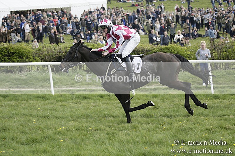 PtP 170417 371 - Old Berks Point-to-Point Lockinge 17/04/17
