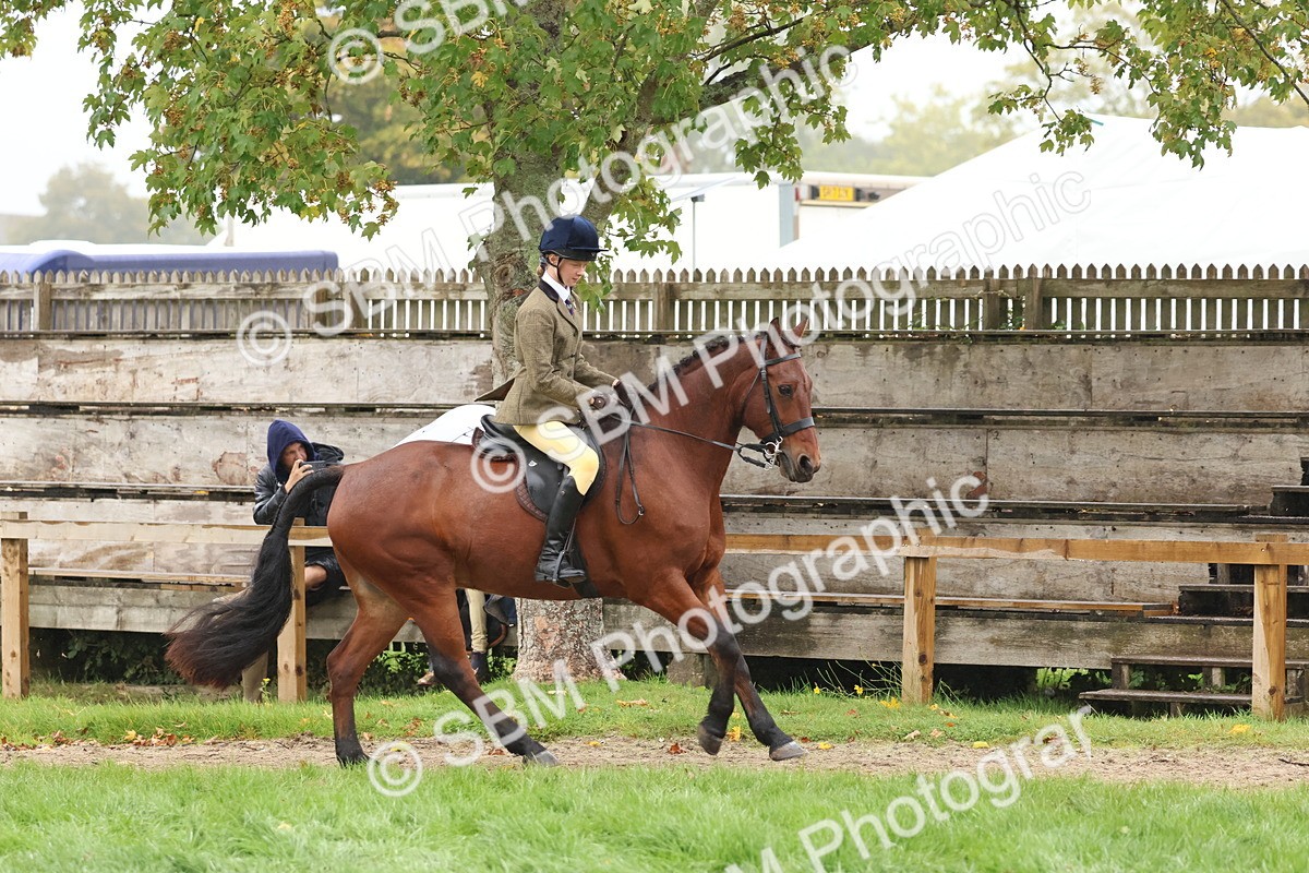 SBM_73001 - S63 Show Pony & Show Hunter Pony Ridden