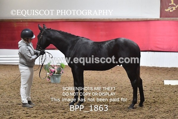 BPP_1863 - AFTERNOON 12.30 - 3.30PM