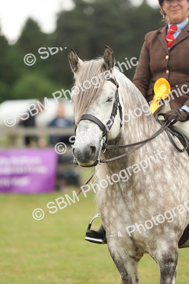 SBM_09058 - Class 78-80 - Ridden M&M Non Welsh Ponies
