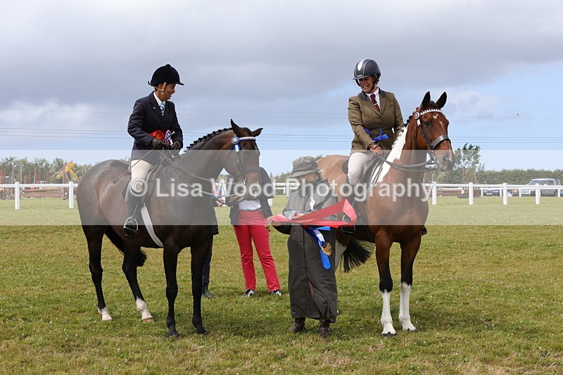 1X9A4964 - Veteran Championship