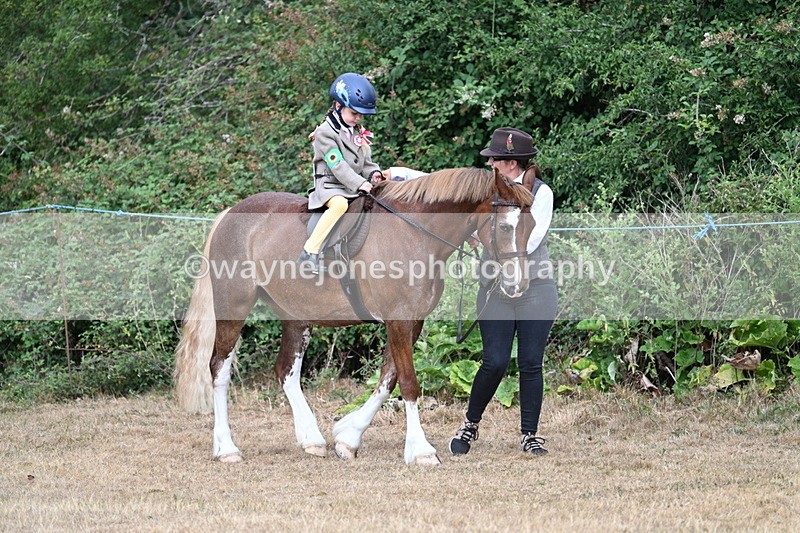 WJ7_6755 - Class 1 Lead Rein Pony