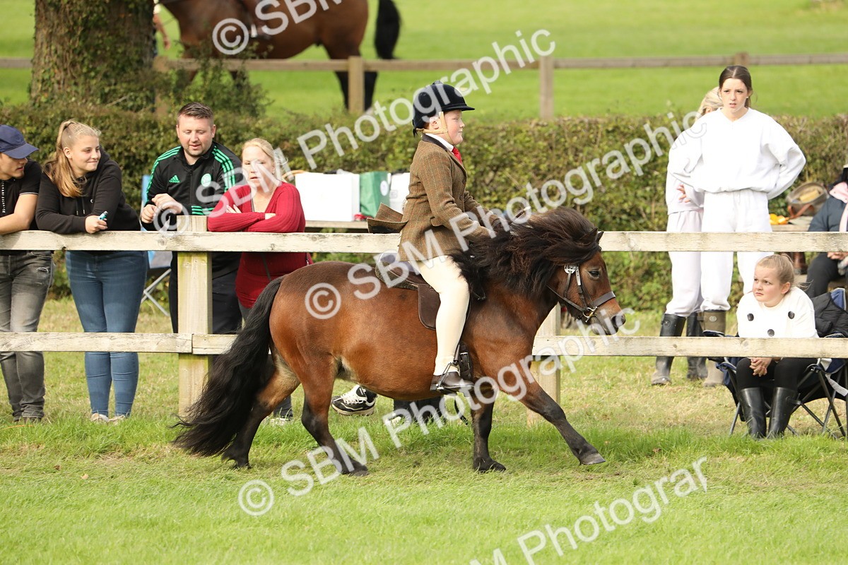 SBM_71521 - S41 - Ridden Equitation (Best Rider)