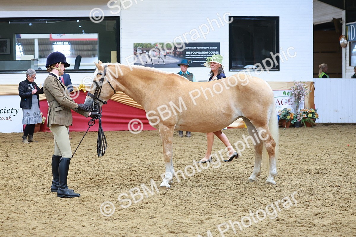 SBM_09815 - Class 102 - HOYS Veteran Qualifier - Ridden Veteran