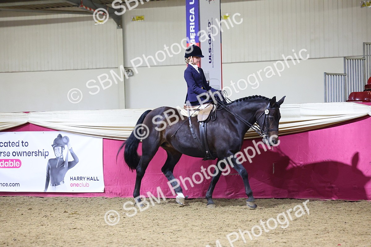 0B8A4228 - Class L Side Saddle Champ