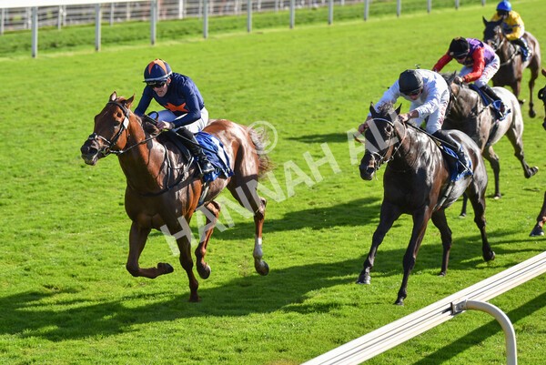 yr08102022r3-44 - Race 3 2.40pm The Coral 'Beaten-by-a-Length' Free Bet Handicap