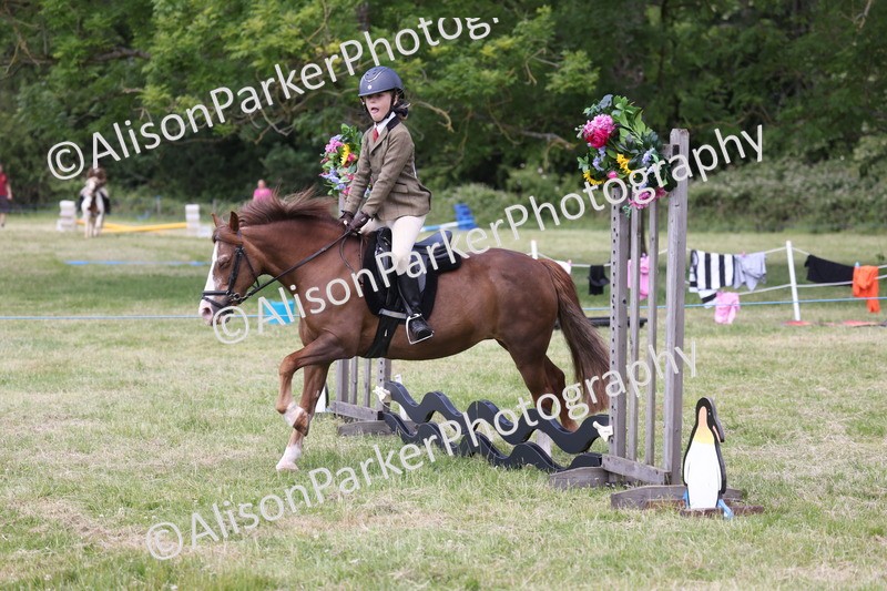 20260614-2085 - Class 21 - Novice Working Hunter Pony