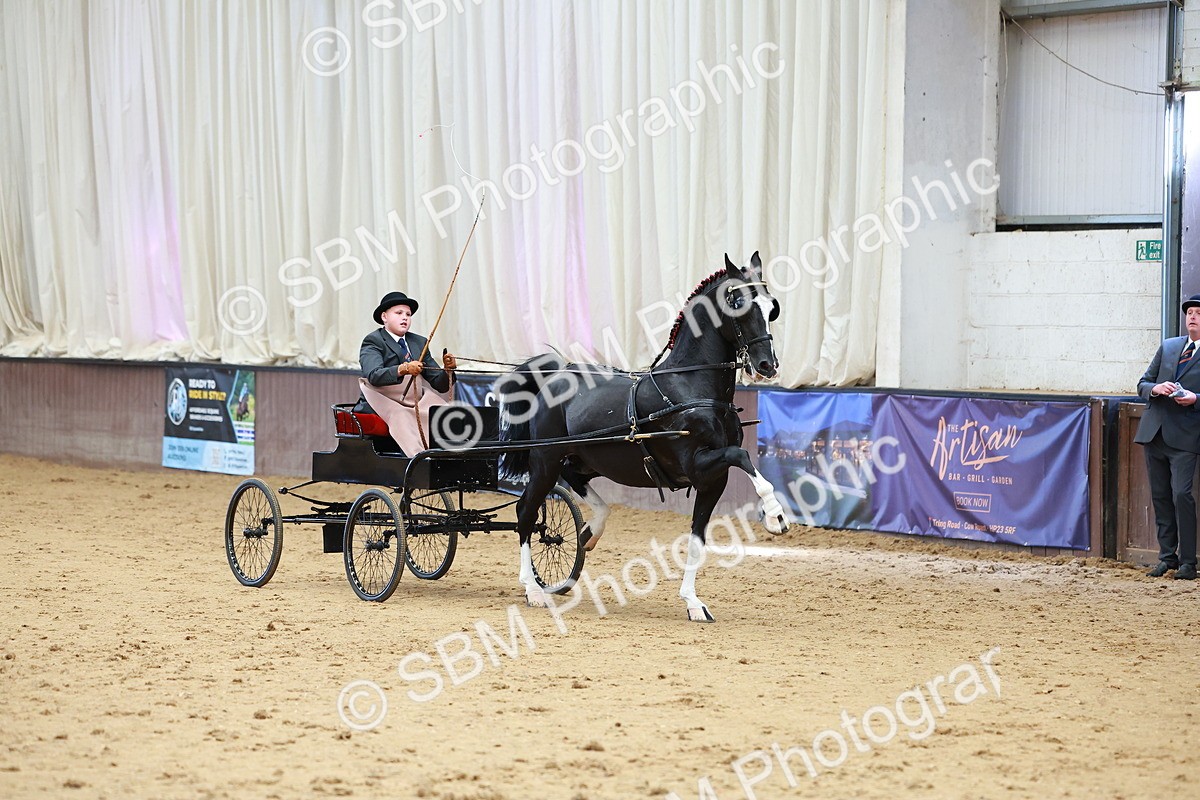 SBM_001009 - Class 13  - HHS Championship Intl Hackney Horse to a Show Wagon