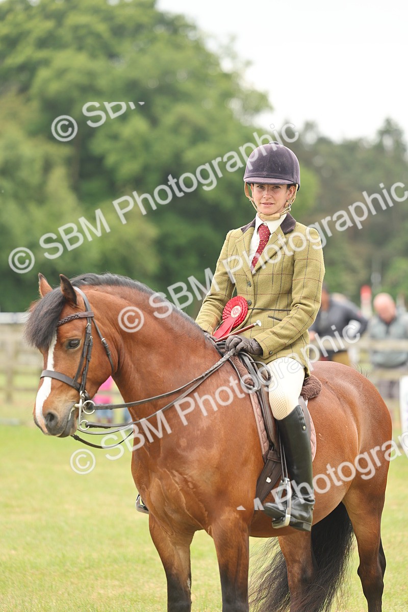 SBM_07262 - Class 76-77 - Ridden M&M Welsh Ponies
