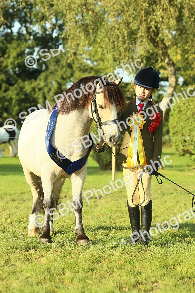 SBM_58480 - S37 - Starters In Hand Showing