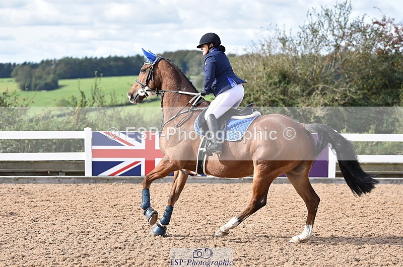 231015A-131734-08279 - Cls 25 95cm Amateur Q 2nd R