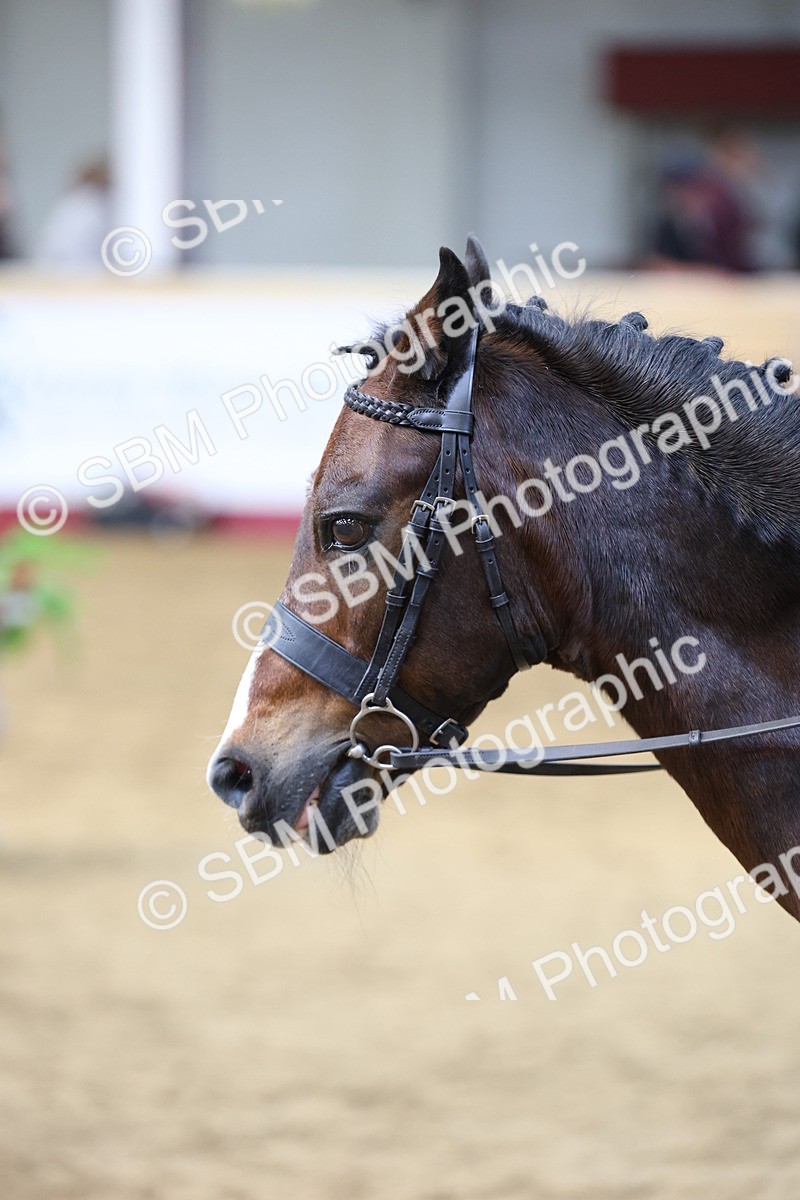 SBM_23587 - Class 904 - Supreme Final - Ridden Diamond