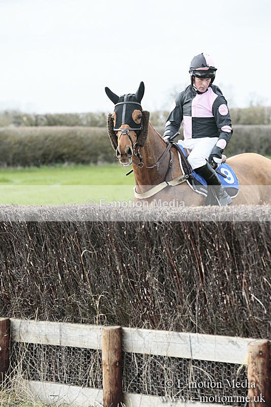 PtP 230319 205 - VWH Hunt Siddington Point-to-Point Racing 23/03/19