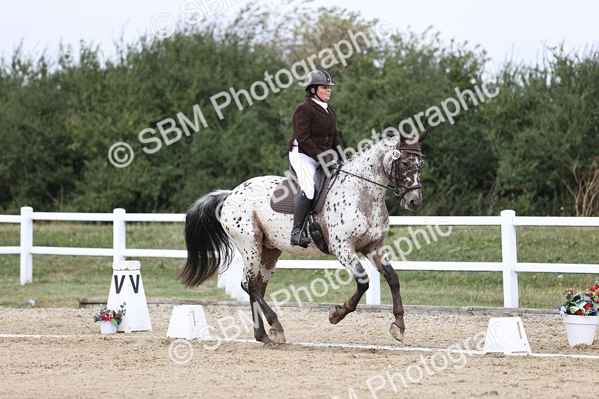 SBM_016850 - Class 14 Novice 23 - 11.53-12.56