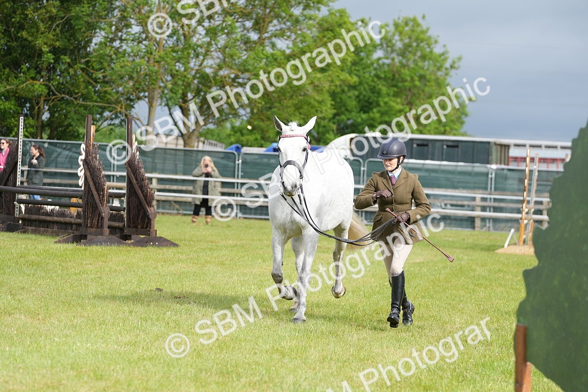 SBM_10620 - Class 97-98 - LIHS BSHA Rising Star Working Show Horse Hunter