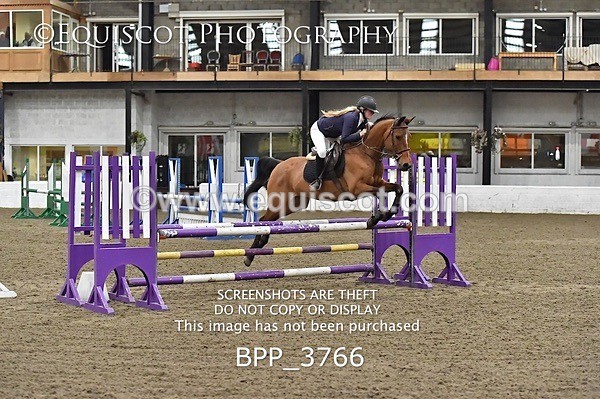 BPP_3766 - FRI CLASS 21 BR NOVICE/90CM