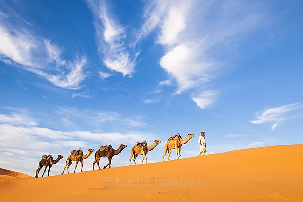  - Morocco