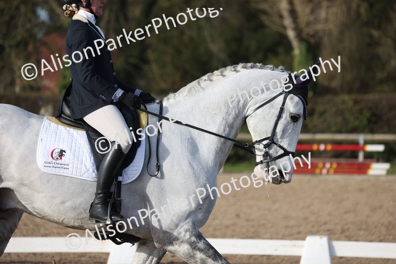 20260214-0813 - Class 7 - Elementary 2