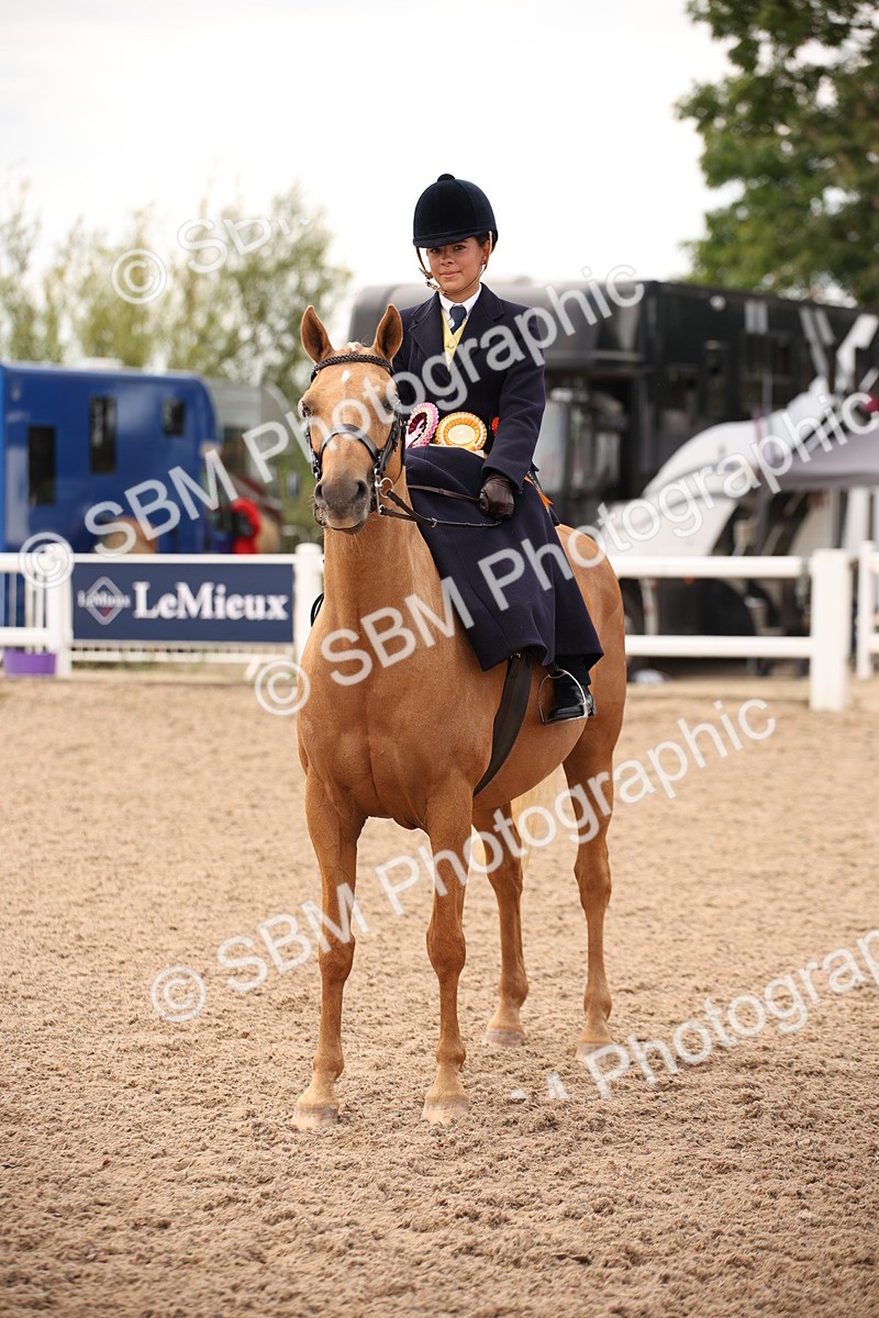 SBM_05514 - Class 22 SSA Equitation