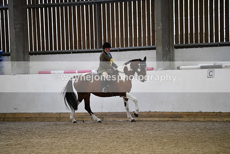 WJ5_6469 - Class 9 Ridden Veteran