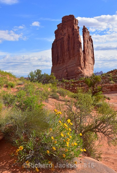 Courthouse Towers - Arches National Park