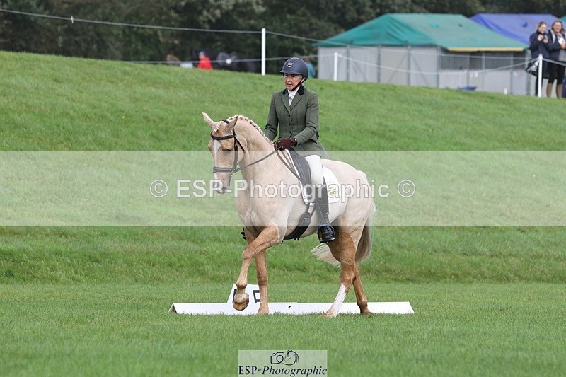 231019-111022-02574 - 612-CORRIEVIEW.MERLIN.MAGIC-Jane.Rogers-DR