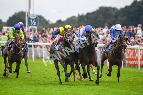 240823-Race 3-Ropey Guest-0377 - Race 3 3.00pm Clipper Handicap