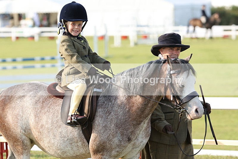 JPP_0132 - Class 14: Cornish Combination Leading Rein