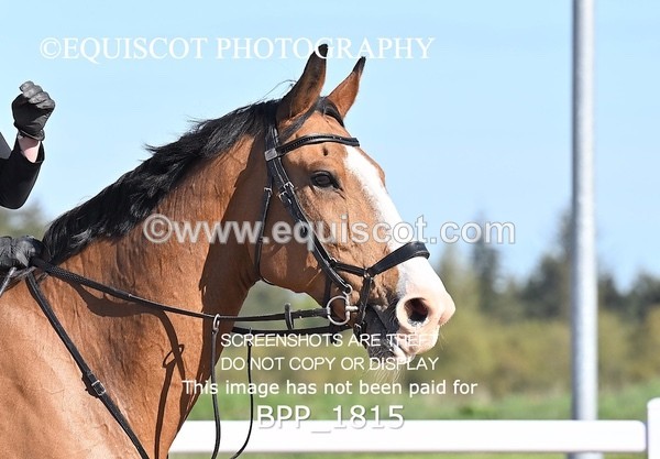 BPP_1815 - CLASS 1 - FRI - KBIS Club Senior 70cms