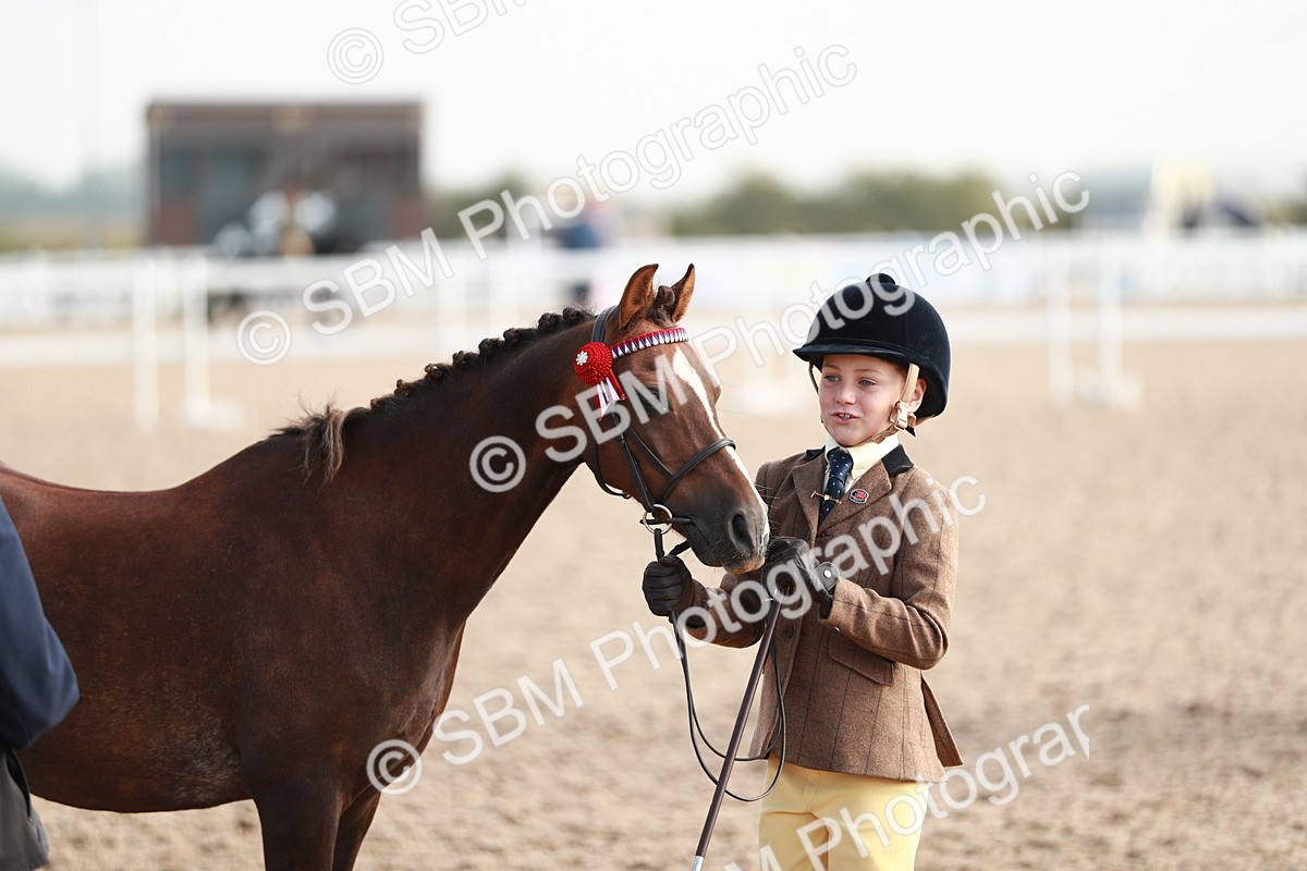 SBM_09895 - Class 203 Young Handler, 10 years and under