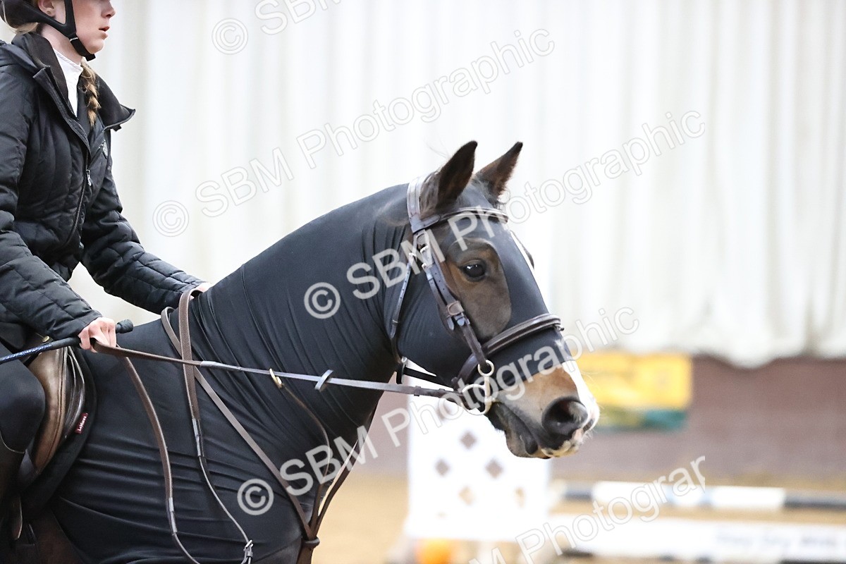 SBM_001299 - Class 3 - Horse & Hound 60cm