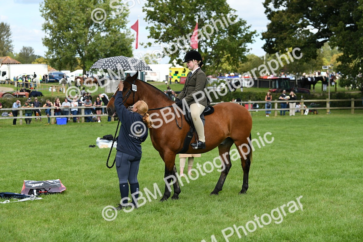 SBM_46873 - S12 - Family Horse & Pony