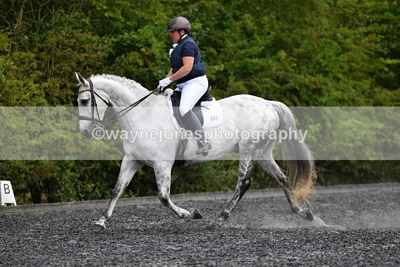 WJ5_2103 - Time 15:05 to 15:30