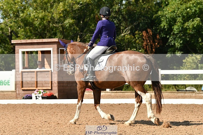 250817-150652-10401 - 182-Natalie.RosewarnePenpont.Fancy.That