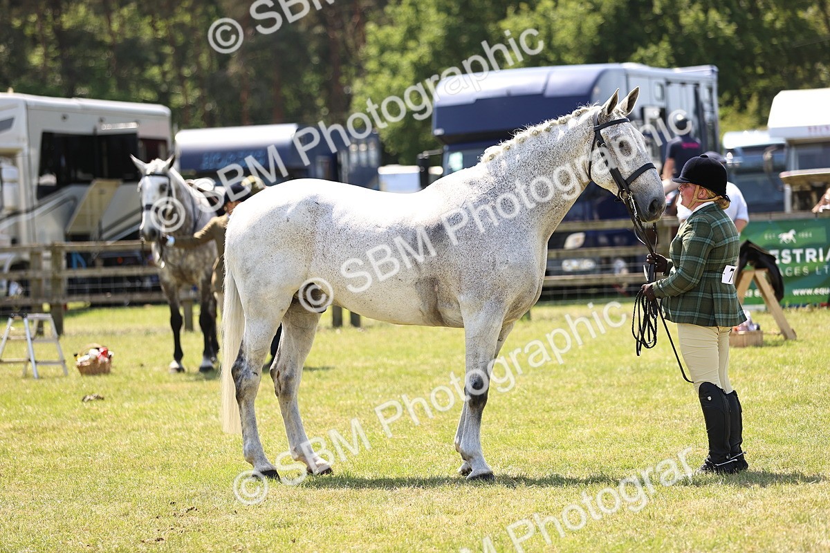 SBM_16173 - Class 79-80 - LIHS BSHA Rising Star Ridden Hunter