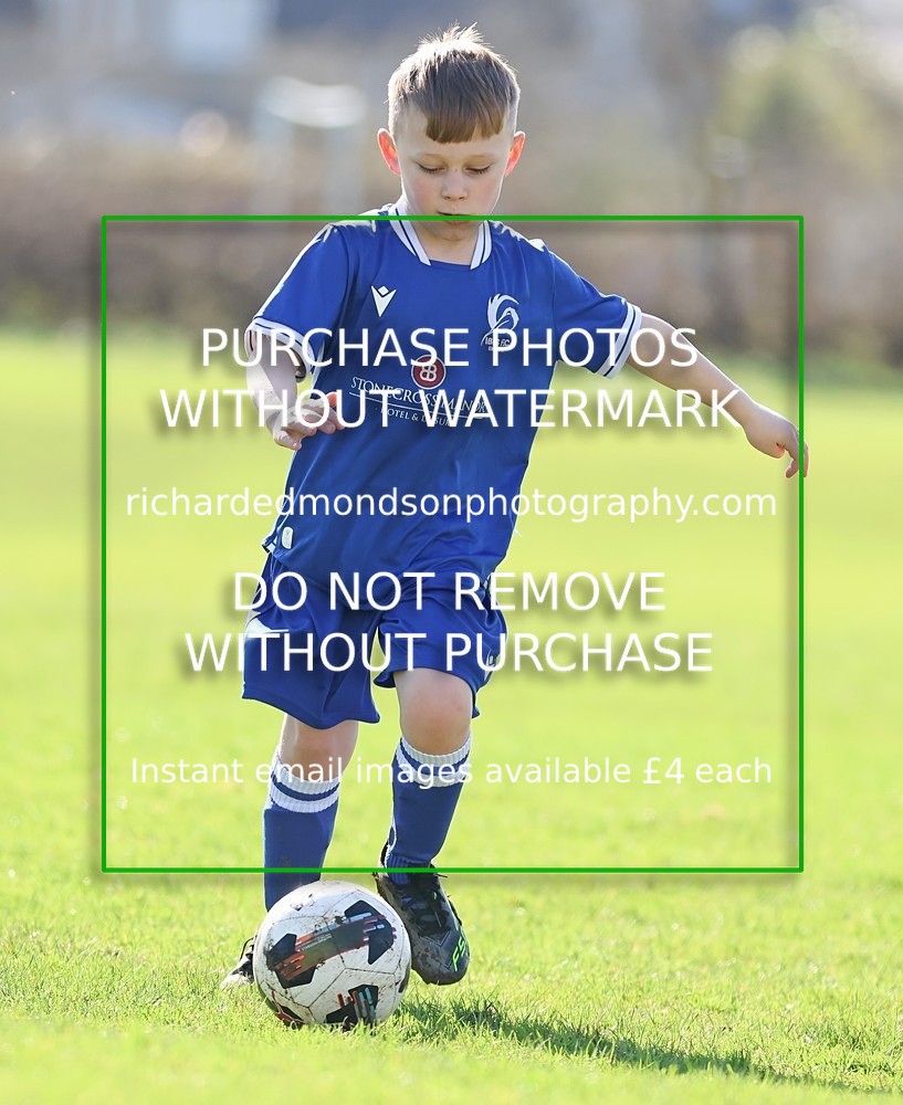 533A7848 - Ibis Under 8's (14/3/26)