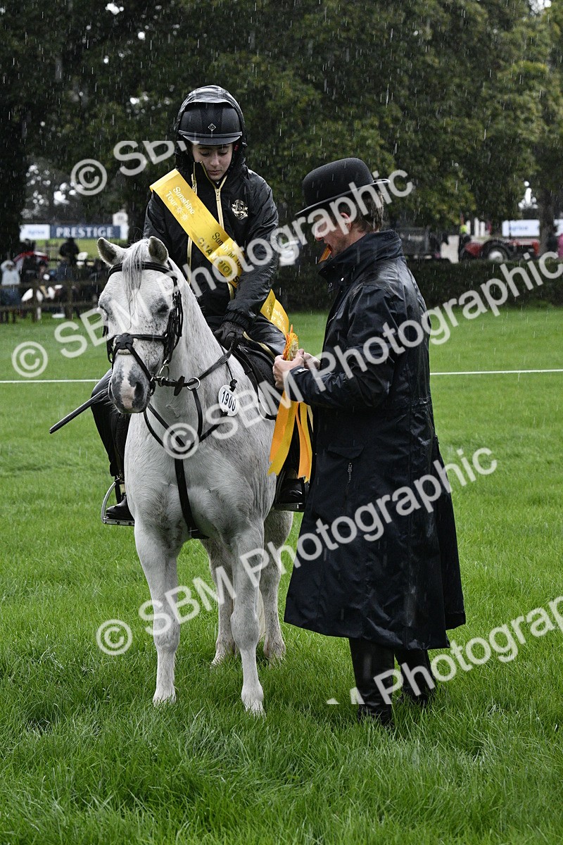 SBM_35565 - S30 - Nursery Stakes Working Hunter Pony