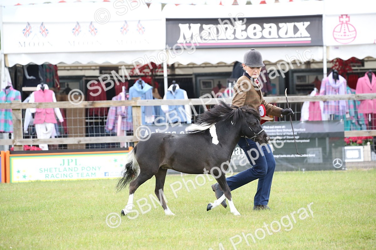 SBM_03848 - Class 23-25 - British Miniature Horse of the Year