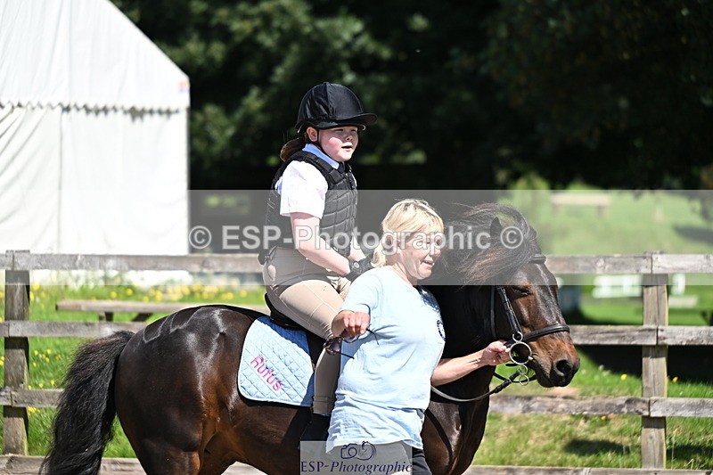 240729B-113323-02433 - Showjumping Competition