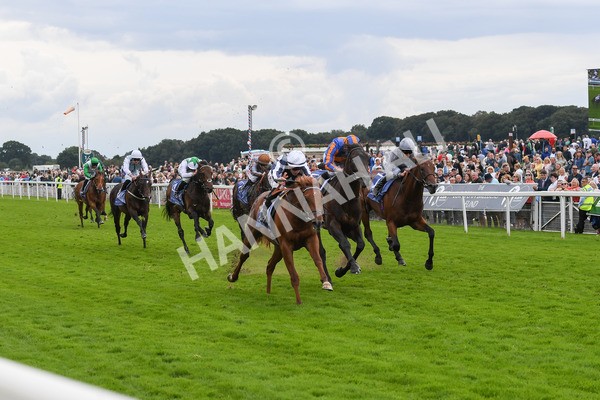250823-Race 3-Lake Forest-0491 - Race 3 3.00pm Al Basti Equiworld Dubai Gimcrack Stakes