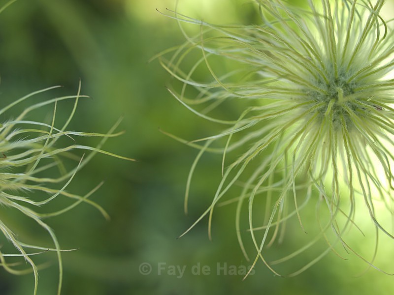  - Nature's Wonders