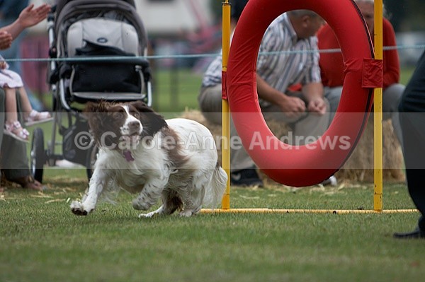  - Tendring Agility Group- St Osyth Summer Fete