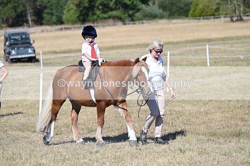 WJ7_2074 - Class 44 Child's Best Friend