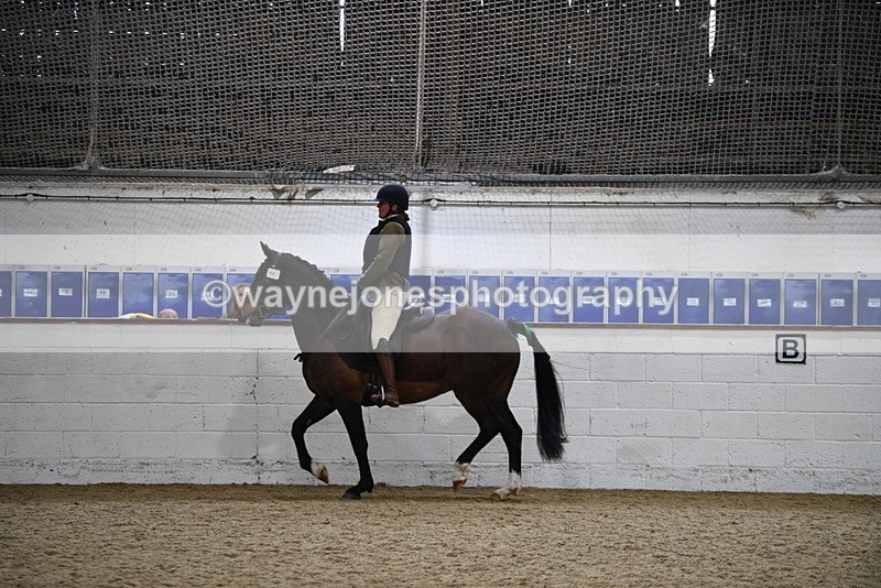 WJ5_7970 - Class 13 Ridden Part Breed