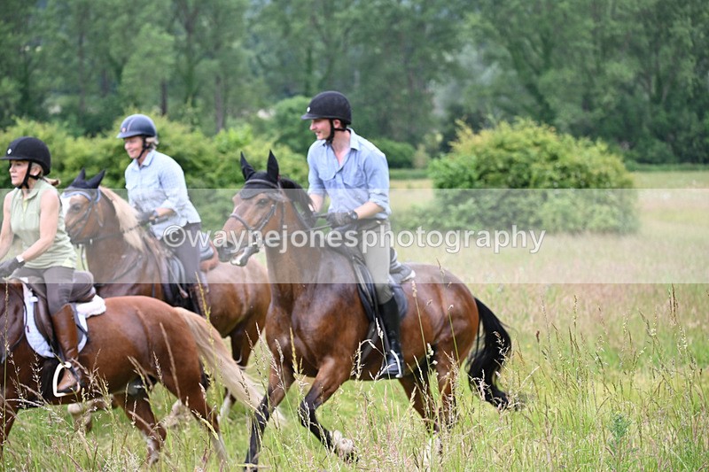 WJ6_8468 - Camera 1 Gallops
