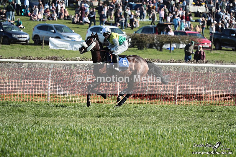 PtP 210326 289 - VWH Cirencester Races 21/03/26