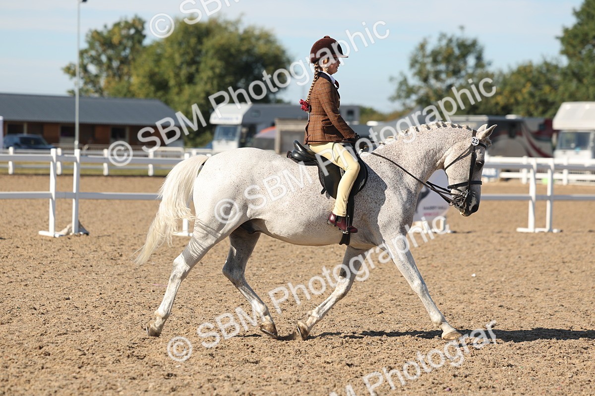 SBM_12334 - Class 304 - Ridden part Bred Horse Pony