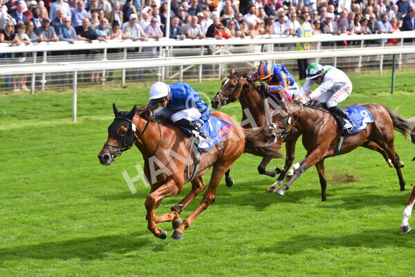 yr18082021r3-76 - Race 3 3.00pm Sky Bet Great Voltigeur Stakes