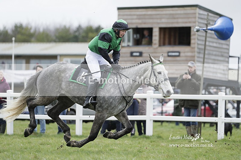 PtP 260323 0285 - New Forest Hounds Point-to-Point Larkhill 26/03/23