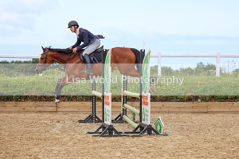 3E7A3203 - Class 4: Senior British Novice/90cm open